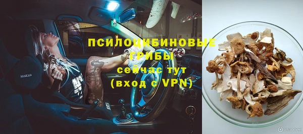 скорость mdpv Белокуриха